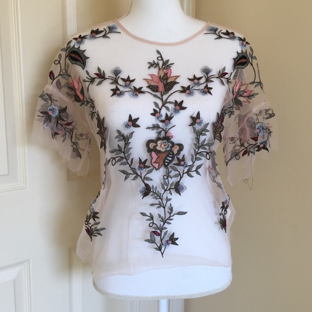 Mesh Light Pink Embroidered Top - Picture 2 of 8